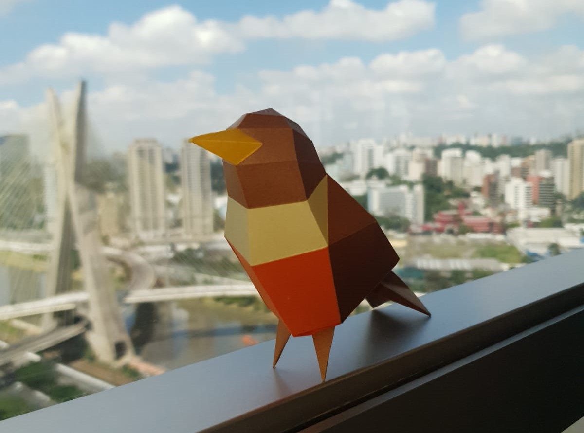 Why Sabiá-Laranjeira?